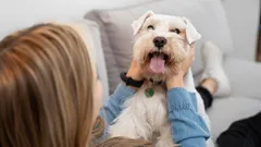 Pes čeká, až to řeknete: 8 slov, která z vašeho mazlíčka udělají hromádku štěstí